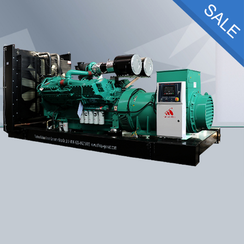 Correctly evaluate the quality of gasoline generators